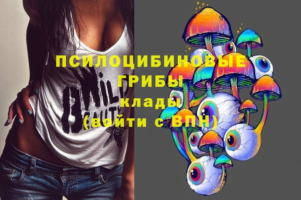 бутират Богородицк