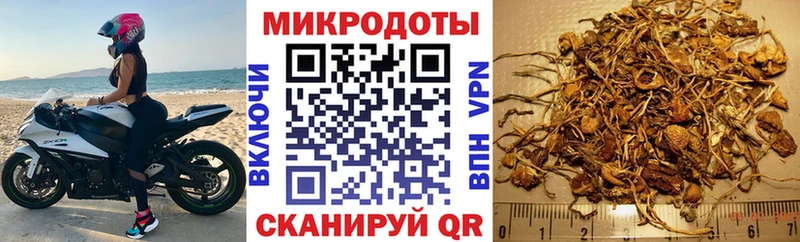 Галлюциногенные грибы прущие грибы  Иноземцево 